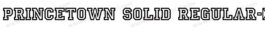Princetown Solid Regular字体转换